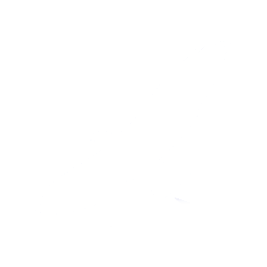 Wizerunek jastrzębia - logo Kancelarii